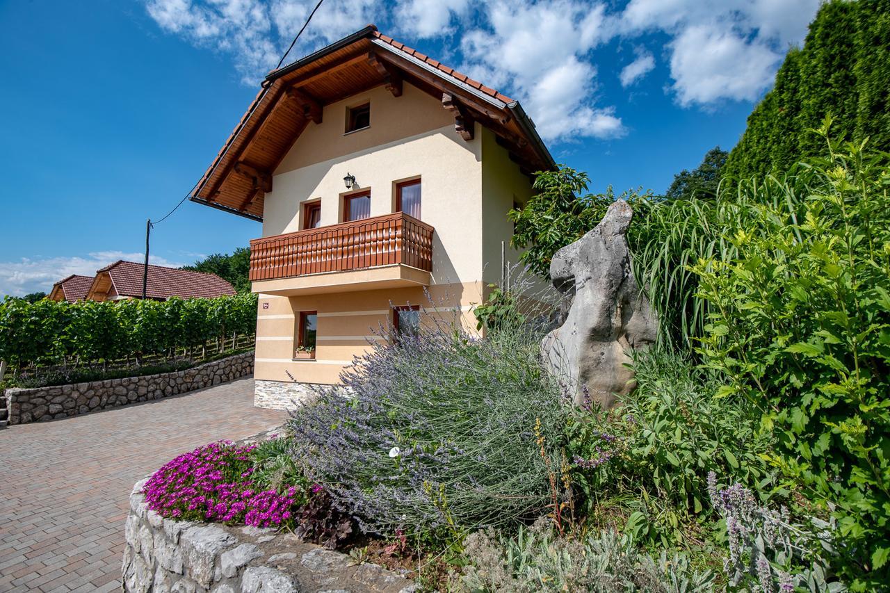 Vineyard Cottage Pod Piramido Dobrnic المظهر الخارجي الصورة