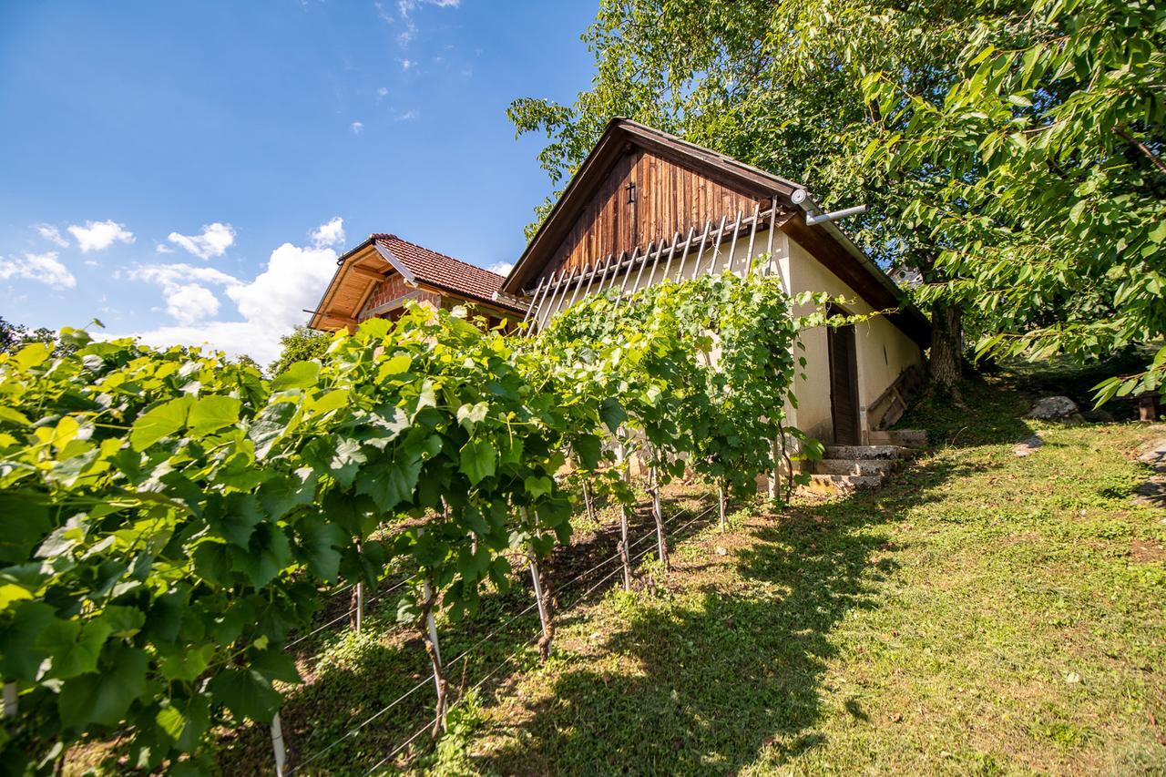 Vineyard Cottage Pod Piramido Dobrnic المظهر الخارجي الصورة